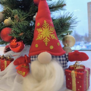 Помощник Деда Мороза