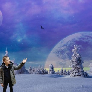 Зимние чудеса с пернатым другом