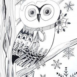 Сова. С первым снегом