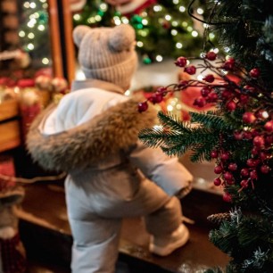 Предновогодняя сказка