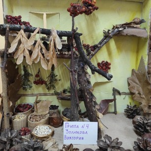 Кладовая белки