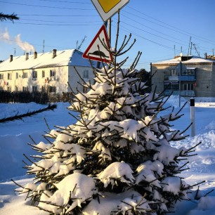 Безопасный Новый год