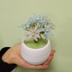 Цветы для мамы