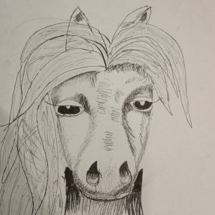 Пони "Снежинка"