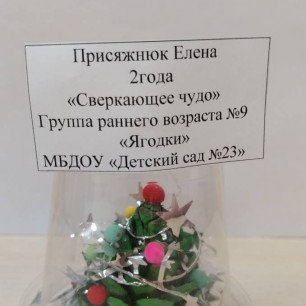 "Сверкающее чудо"