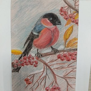 Весёлый снегирь