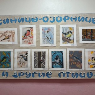 Выставка " Синицы- озорница и другие птицы"