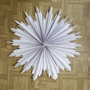 Первая снежинка