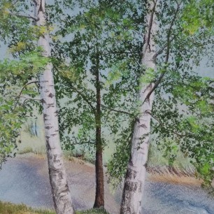 Летним днём у реки