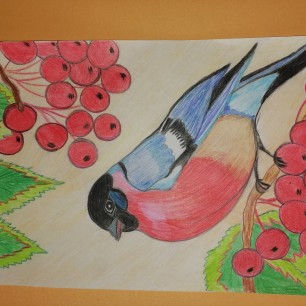 Снегирь на ветке рябины