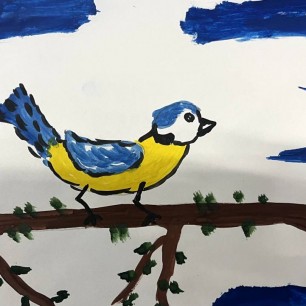 Синица в природе