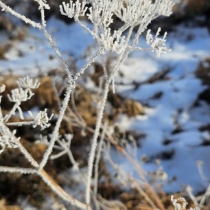 Зимняя сказка