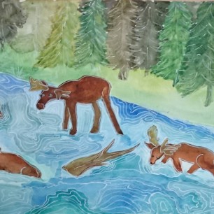 Обитатели леса вышли на водопой