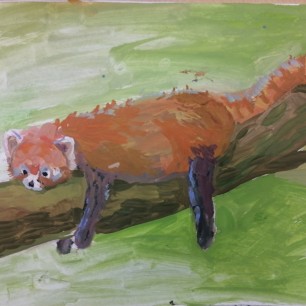 Красная панда