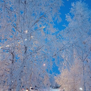 Зима в городе.