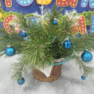 "Новогодний букет"