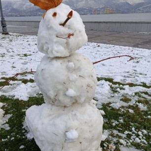 Мой снеговик и море