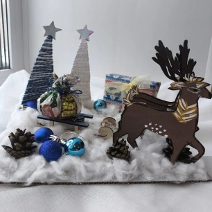 "Помощники Деда мороза"