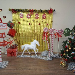 "Зимняя сказка"