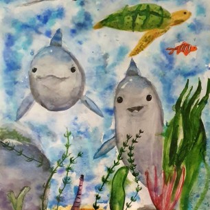 Встреча с дельфинами