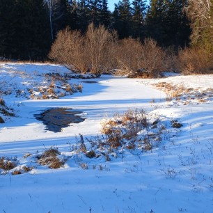 Закатный миг в заснеженном лесу