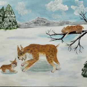 Семья рыси, первый снегопад