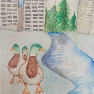 Городские селезни на прогулке.