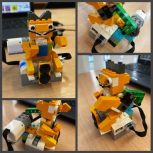 котик просит еду