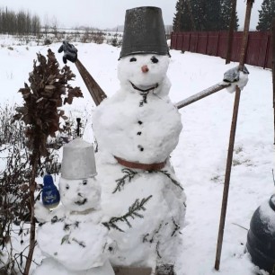 Весёлая компания