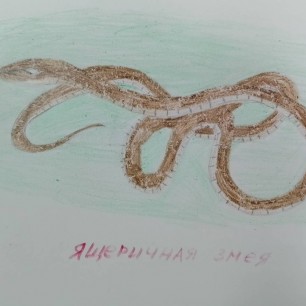 "Редкие обитатели заповедника"