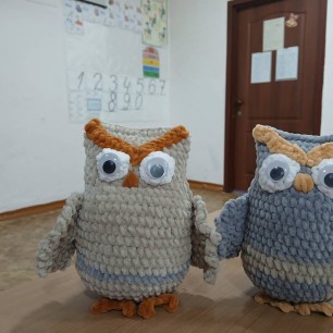 «Совы зачарованного леса».