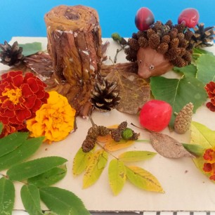 На лесной полянке