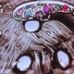 «Зимний гномик»