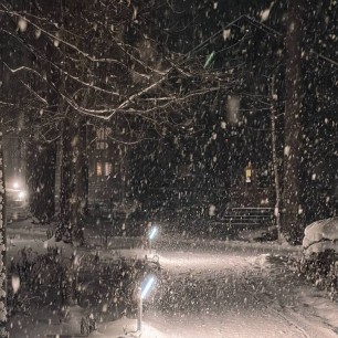 Зимний фестиваль красок