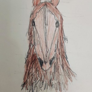 Верный конь