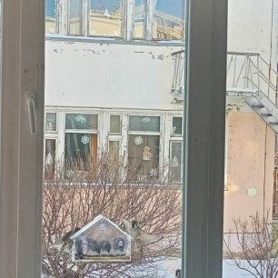 Птичья столовая