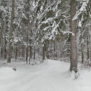 Зимняя дорога в сказку