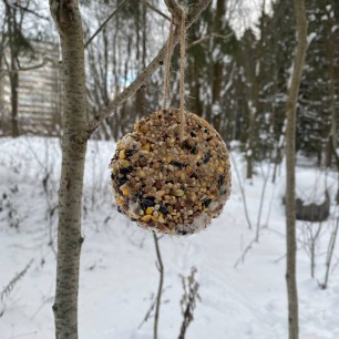 Эко кормушка