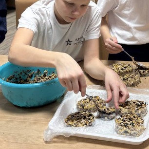 Эко кормушка