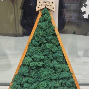 Зеленая красавица.