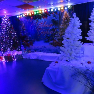 "Встречаем Новый год!"