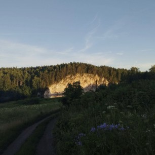 Лесная сказка