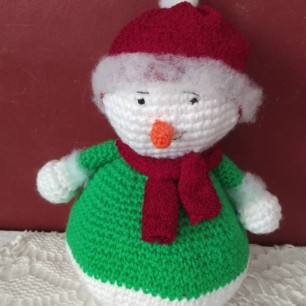 Зимний гость