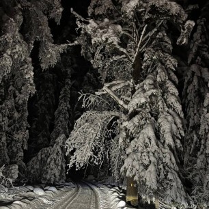 Зимняя сказка