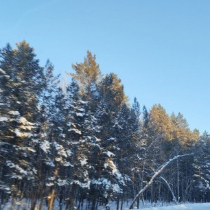 Дыхание зимы