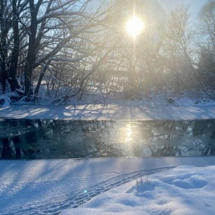 "Мороз и солнце!"