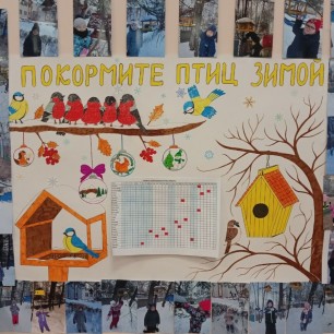 Покормите птиц зимой