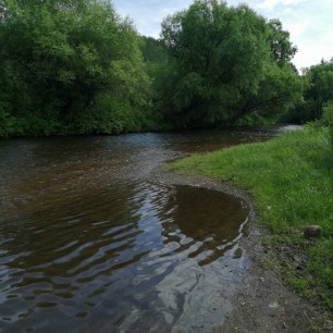 Воспитатель детей дошкольного возраста с доп. подготовкой в области речевого развития и логопедагогики.