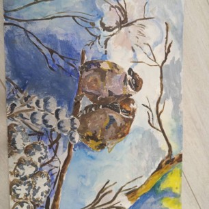 Наши друзья