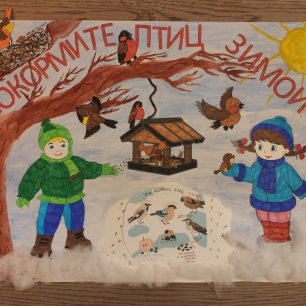 Покормите птиц зимой